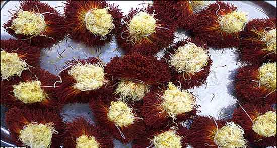 کاکل ذرت برای قاعدگی ؛ مصرف کاکل ذرت برای خونریزی پریودی کاکل ذرت برای قاعدگی ؛ مصرف کاکل ذرت برای خونریزی پریودی