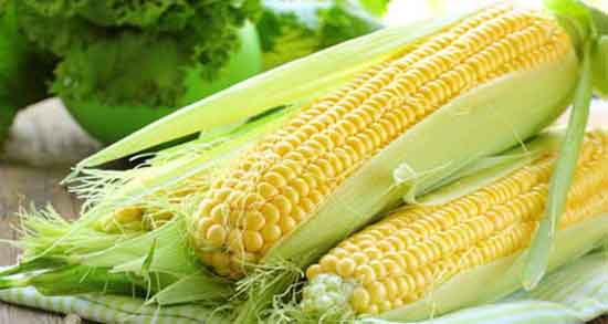 کاکل ذرت و دم گیلاس ؛ دمنوش کاکل ذرت و دم گیلاس برای سنگ کلیه