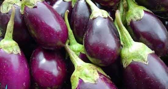 کلاهک بادمجان برای کاهش قند خون ؛ کلاهک بادمجان برای کاهش دیابت کلاهک بادمجان برای کاهش قند خون ؛ کلاهک بادمجان برای کاهش دیابت