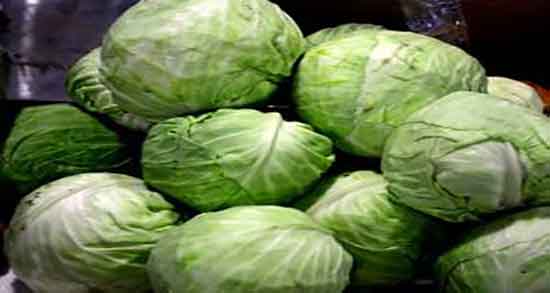 کلم برگ برای ریه و درمان تنگی نفس با خوردن کلم برگ پخته شده کلم برگ برای ریه ؛ درمان تنگی نفس با خوردن کلم برگ پخته شده