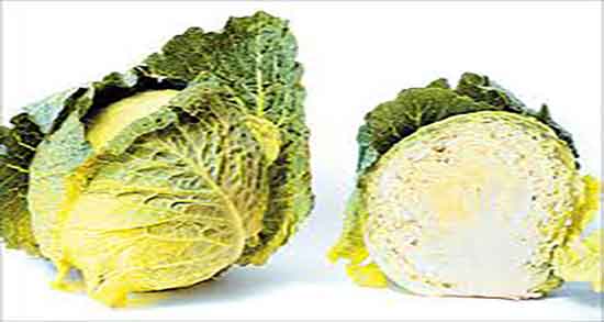 کلم برگ برای زردی نوزاد ؛ درمان زردی نوزادان با مصرف کلم برگ کلم برگ برای زردی نوزاد ؛ درمان زردی نوزادان با مصرف کلم برگ