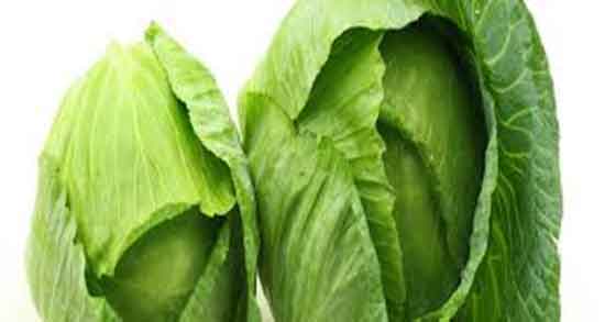 کلم برگ در بارداری ؛ عوارض مصرف کلم برگ برای جنین زنان باردار کلم برگ در بارداری ؛ عوارض مصرف کلم برگ برای جنین زنان باردار