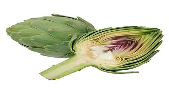 کنگر فرنگی برای لاغری ؛ ایا کنگر فرنگی برای لاغری شکم مفیده کنگر فرنگی برای لاغری ؛ ایا کنگر فرنگی برای لاغری شکم مفیده