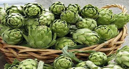 کنگر فرنگی را از کجا بخریم ؛ خرید و فروش کنگر فرنگی از فروشگاه انلاین کنگر فرنگی را از کجا بخریم ؛ خرید و فروش کنگر فرنگی از فروشگاه انلاین