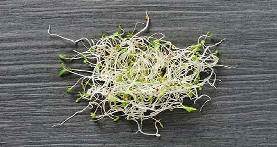 کی عرق یونجه مصرف کرده ؛ ایا برای چاقی بدن عرق یونجه مفید است کی عرق یونجه مصرف کرده ؛ ایا برای چاقی بدن عرق یونجه مفید است