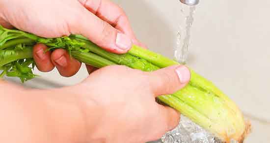 کیا با عرق کرفس لاغر شدن ؛ عرق کرفس برای لاغر شدن نی نی سایت کیا با عرق کرفس لاغر شدن ؛ عرق کرفس برای لاغر شدن نی نی سایت