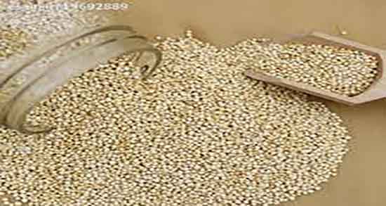 کینوا در بدنسازی ؛ خواص دانه کینوا در برای ساختن عضله در بدنسازی