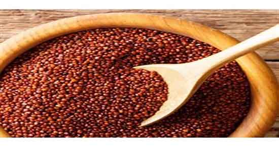 کینوا چیست ویکی پدیا ؛ کینوا چه خاصیتی دارد و چگونه خورده میشود کینوا چیست ویکی پدیا ؛ کینوا چه خاصیتی دارد و چگونه خورده میشود