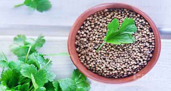 گشنیز برای قاعدگی ؛ ایا گشنیز برای رفع درد قاعدگی مفید است یا نه گشنیز برای قاعدگی ؛ ایا گشنیز برای رفع درد قاعدگی مفید است یا نه