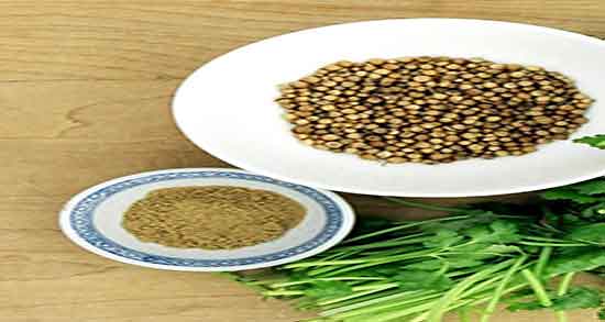 گشنیز و جعفری ؛ کاشت گشنیز و جعفری در گلدان های خانگی گشنیز و جعفری ؛ کاشت گشنیز و جعفری در گلدان های خانگی