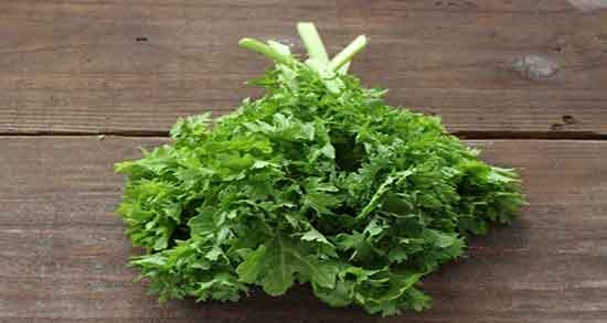 گشنیز و فشار خون و درمان قطعی فشار خون بالا با مصرف گشنیز گشنیز و فشار خون ؛ درمان قطعی فشار خون بالا با مصرف گشنیز