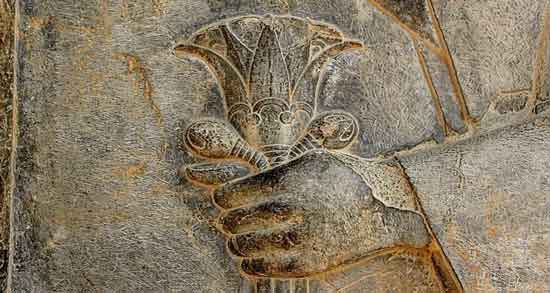 گل انار در تخت جمشید ؛ بررسی مفهوم حکاکی گل انار بر روی آثار تخت جمشید گل انار در تخت جمشید ؛ بررسی مفهوم حکاکی گل انار بر روی آثار تخت جمشید