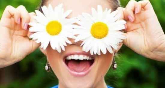 گل بابونه برای پوست ؛ فواید و مضرات استفاده از گل بابونه برای پوست گل بابونه برای پوست ؛ فواید و مضرات استفاده از گل بابونه برای پوست