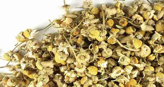 گل بابونه خشک شده ؛ آشنایی با خواص و کاربردهای گل بابونه خشک شده گل بابونه خشک شده ؛ آشنایی با خواص و کاربردهای گل بابونه خشک شده