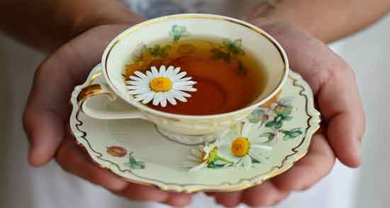 گل بابونه نماد چیست ؛ معنی و مفهوم گل بابونه