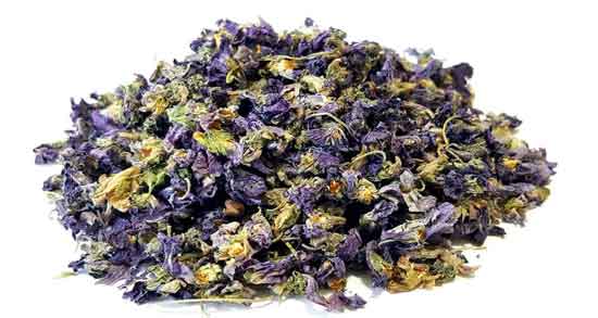 گل ختمی برای جوش صورت ؛ روش استفاده از گل ختمی برای از بین بردن جوش و آکنه