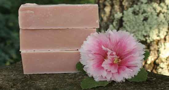 گل ختمی برای موهای چرب ؛ جلوگیری از چرب شدن مو با مصرف گل ختمی گل ختمی برای موهای چرب ؛ جلوگیری از چرب شدن مو با مصرف گل ختمی