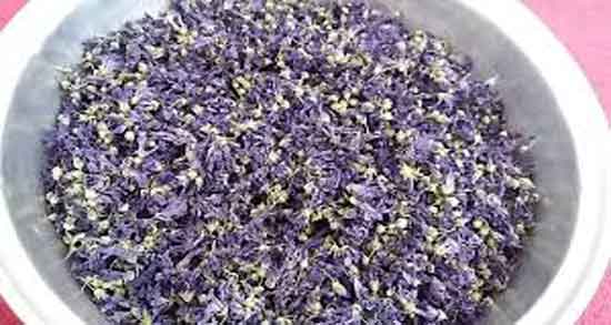 گل ختمی برای پوست ؛ مرطوب کردن پوست با مصرف گل ختمی گل ختمی برای پوست ؛ مرطوب کردن پوست با مصرف گل ختمی