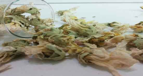 گل ختمی و فشار خون ؛ خاصیت خوردن گل ختمی برای کاهش فشار خون بالا گل ختمی و فشار خون ؛ خاصیت خوردن گل ختمی برای کاهش فشار خون بالا