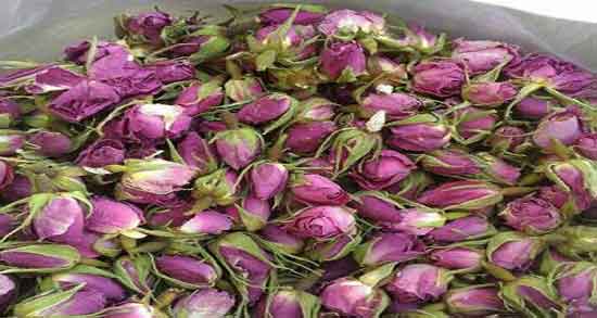 گل محمدی و بارداری و همه چیز درباره خواص و مضرات گل محمدی برای بارداری گل محمدی و بارداری ؛ همه چیز درباره خواص و مضرات گل محمدی برای بارداری