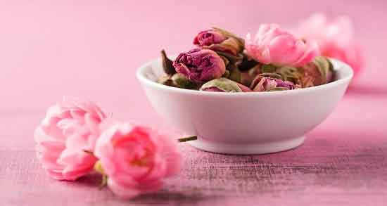 گل محمدی و گل رز ؛ بررسی خواص گل محمدی و گل رز