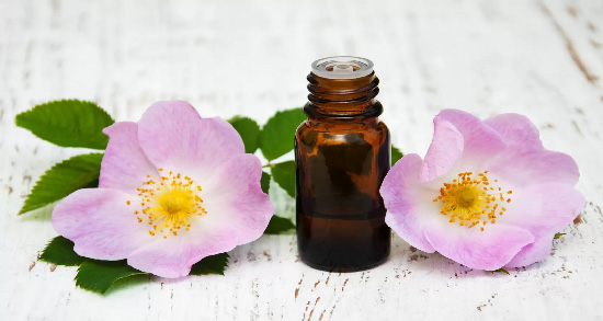 گل نسترن و خواص ؛ آشنایی با فواید مصرف گل نسترن گل نسترن و خواص ؛ آشنایی با فواید مصرف گل نسترن