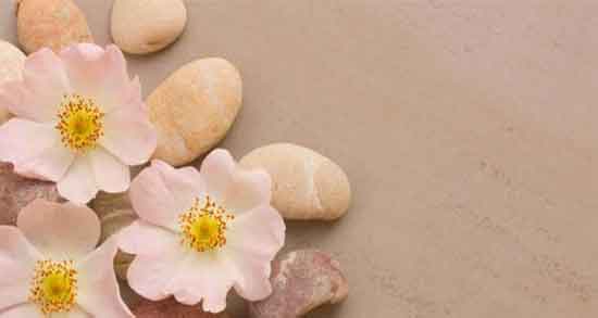 گل نسترن و دیابت ؛ خواص و مضرات گل نسترن برای افراد دیابتی گل نسترن و دیابت ؛ خواص و مضرات گل نسترن برای افراد دیابتی