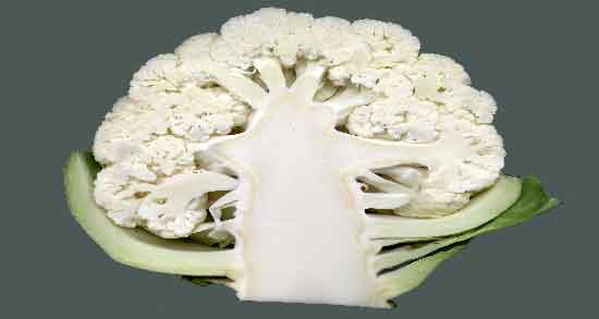 گل کلم برای کودکان و آشنایی با خواص فراوان گل کلم برای سلامت کودکان گل کلم برای کودکان ؛ آشنایی با خواص فراوان گل کلم برای سلامت کودکان