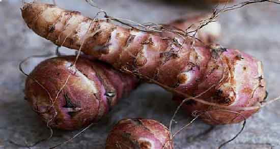 گیاه سیب زمینی ترشی ؛ معرفی کامل گیاه سیب زمینی ترشی و خواصی که دارد