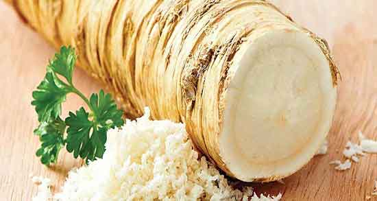 ترب سفید و لاغری ؛ تاثیر چربی سوزی بدن با خوردن ترب سفید ترب سفید و لاغری ؛ تاثیر چربی سوزی بدن با خوردن ترب سفید