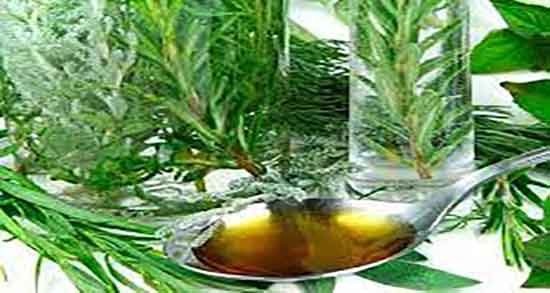 مضرات اکالیپتوس برای طبیعت و عوارض سوزاندن برگ اکالیپتوس مضرات اکالیپتوس برای طبیعت ؛ عوارض سوزاندن برگ اکالیپتوس