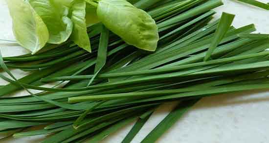 آب تره برای خون دماغ و خوردن گیاه اب تره و جلو گیری از خون دماغ شدن آب تره برای خون دماغ ؛ خوردن گیاه اب تره و جلو گیری از خون دماغ شدن