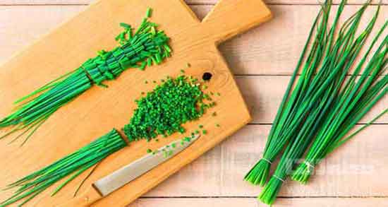 آب تره و خون دماغ و فواید مصرف اب تره برای درمان خون دماغ شدن آب تره و خون دماغ ؛ فواید مصرف اب تره برای درمان خون دماغ شدن