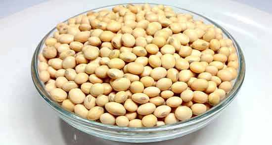 آجیل سویا برای دیابت ؛ پیشگیری و درمان دیابت با مصرف آجیل سویا آجیل سویا برای دیابت ؛ پیشگیری و درمان دیابت با مصرف آجیل سویا
