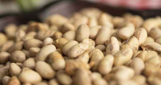 آجیل سویا برای زنان ؛ تاثر مصرف آجیل سویا برای درمان کم خونی زنان آجیل سویا برای زنان ؛ تاثر مصرف آجیل سویا برای درمان کم خونی زنان