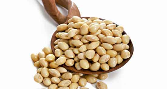 آجیل سویا برای سگ ؛ خواص و مضرات استفاده از آجیل سویا برای سگ آجیل سویا برای سگ ؛ خواص و مضرات استفاده از آجیل سویا برای سگ