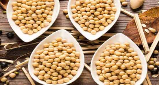 آجیل سویا برای لاغری ؛ کاهش اشتها و لاغری با مصرف آجیل سویا آجیل سویا برای لاغری ؛ کاهش اشتها و لاغری با مصرف آجیل سویا