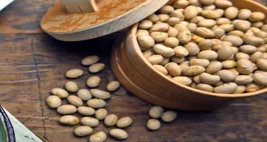 آجیل سویا در بارداری ؛ بررسی فواید و مضرات مصرف آجیل سویا در دوران بارداری آجیل سویا در بارداری ؛ بررسی فواید و مضرات مصرف آجیل سویا در دوران بارداری