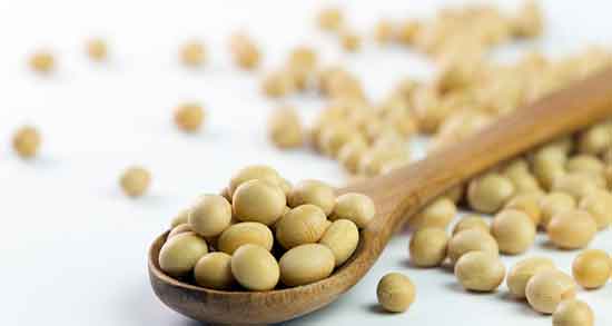 آجیل سویا و لاغری ؛ کاهش وزن و کمک به لاغری با مصرف آجیل سویا آجیل سویا و لاغری ؛ کاهش وزن و کمک به لاغری با مصرف آجیل سویا