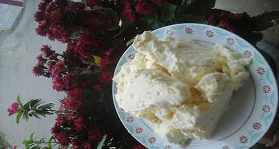 آغوز چیست و ایا اغوز همان شیر غلیظ شده است یا نه + خاصیت اغوز آغوز چیست ؛ ایا اغوز همان شیر غلیظ شده است یا نه + خاصیت اغوز