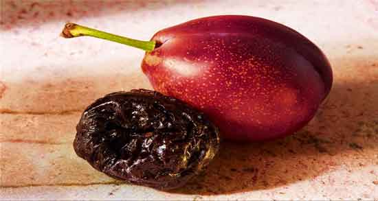 آلو خشک برای لاغری و چربی سوزی و کاهش وزن با مصرف آلو خشک آلو خشک برای لاغری ؛ چربی سوزی و کاهش وزن با مصرف آلو خشک