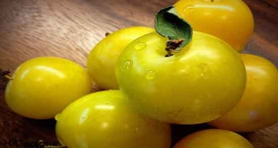 آلو زرد برای سرماخوردگی و تاثیر خوردن آلو زرد برای کاهش علائم سرماخوردگی آلو زرد برای سرماخوردگی ؛ تاثیر خوردن آلو زرد برای کاهش علائم سرماخوردگی