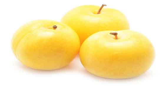 آلو زرد و لاغری و کمک به کاهش وزن و چربی سوزی با خوردن آلو زرد آلو زرد و لاغری ؛ کمک به کاهش وزن و چربی سوزی با خوردن آلو زرد