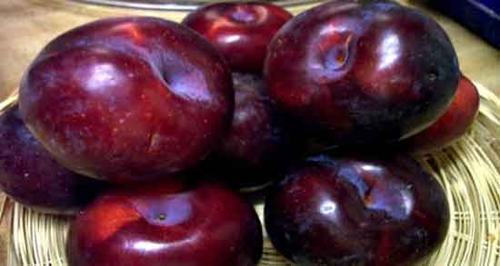 آلو قرمز برای لاغری ؛ تاثیر خوردن آلو قرمز برای کاهش وزن و چربی سوزی آلو قرمز برای لاغری ؛ تاثیر خوردن آلو قرمز برای کاهش وزن و چربی سوزی