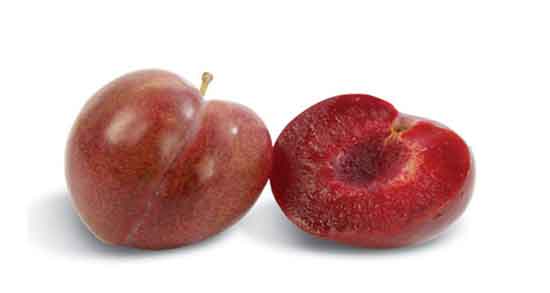 آلو قرمز برای یبوست ؛ فیبر فراوان در آلو قرمز مفید برای درمان یبوست آلو قرمز برای یبوست ؛ فیبر فراوان در آلو قرمز مفید برای درمان یبوست