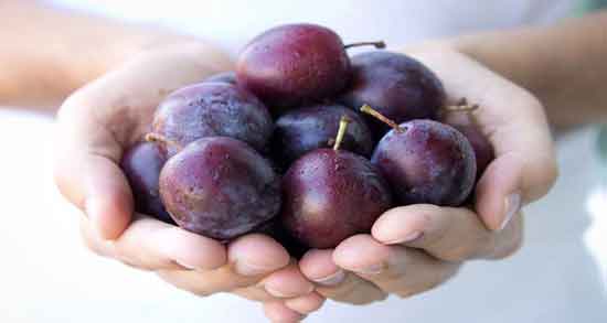 آلو قرمز در بارداری ؛ همه چیز درباره خواص و مضرات خوردن آلو قرمز برای زن باردار آلو قرمز در بارداری ؛ همه چیز درباره خواص و مضرات خوردن آلو قرمز برای زن باردار