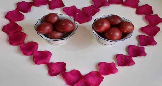 آلو قرمز و لاغری ؛ بهترین زمان مصرف آلو قرمز برای کاهش وزن آلو قرمز و لاغری ؛ بهترین زمان مصرف آلو قرمز برای کاهش وزن