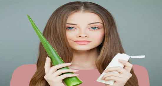 آلوورا برای موهای خشک ؛ آبرسانی به موهای خشک با آلوورا آلوورا برای موهای خشک ؛ آبرسانی به موهای خشک با آلوورا