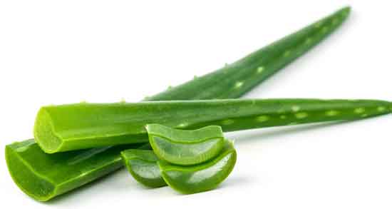 آلوورا برای ناحیه تناسلی مردان و فواید مصرف آلوورا برای مردان آلوورا برای ناحیه تناسلی مردان ؛ فواید مصرف آلوورا برای مردان