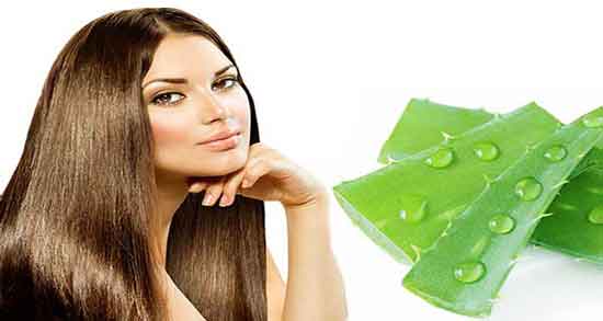 آلوورا برای پرپشتی مو ؛ خاصیت استفاده از آلوورا برای تقویت و پرپشتی مو آلوورا برای پرپشتی مو ؛ خاصیت استفاده از آلوورا برای تقویت و پرپشتی مو